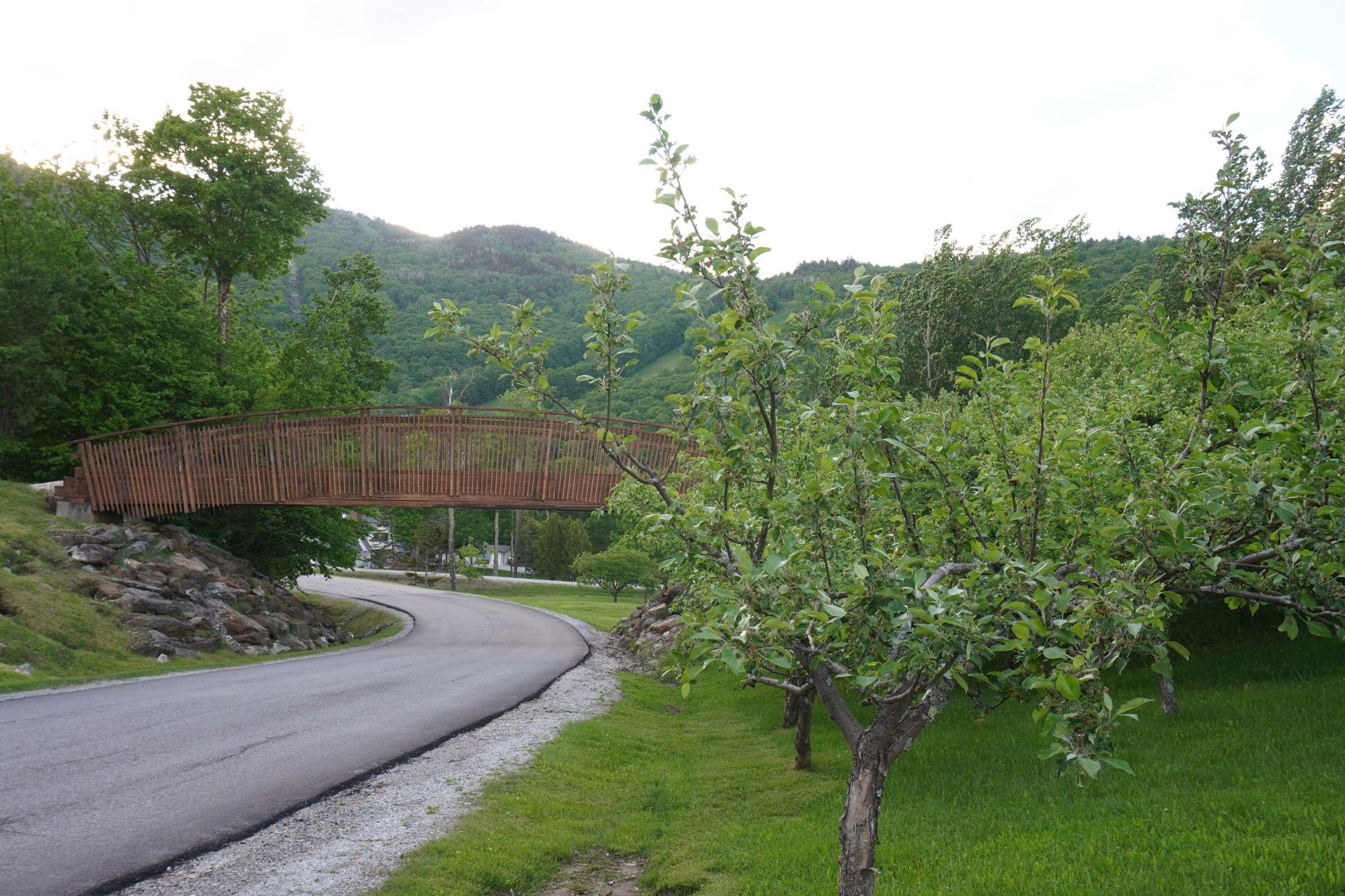 killington, vermont (3).webp